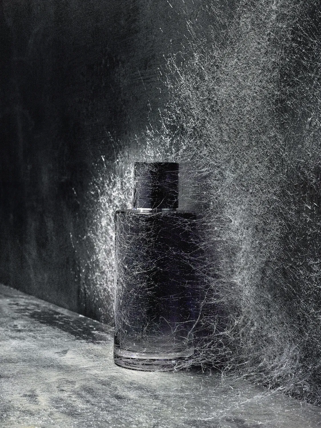 Photograph — Studio 258, Paris