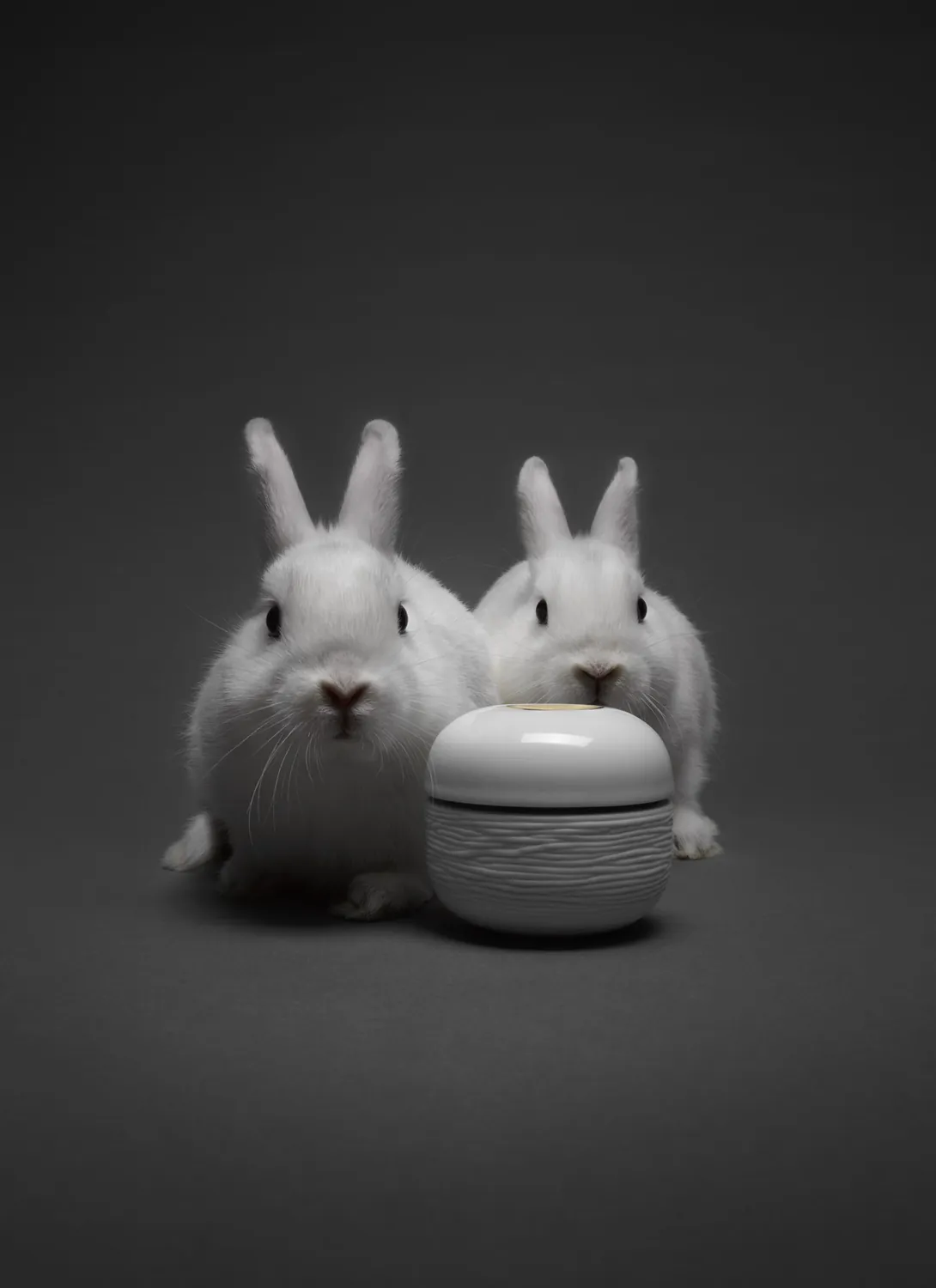 Cosmetics photography — Studio 258, Paris