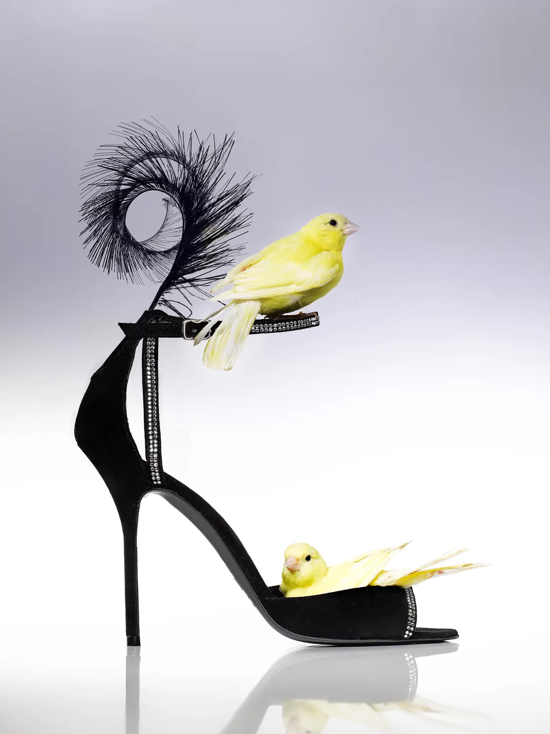 Jewellery and accessories photography — Studio 258, Paris