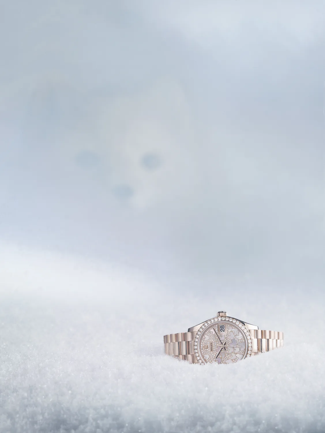 Jewellery and accessories photography Rolex — Studio 258, Paris