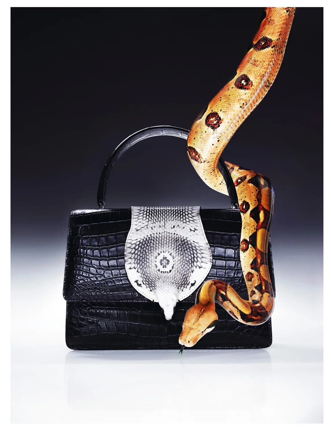Jewellery and accessories photography — Studio 258, Paris