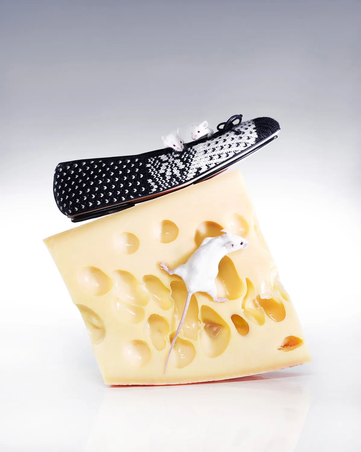 Jewellery and accessories photography — Studio 258, Paris